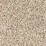Mohawk CarpetSoft Dimensions I